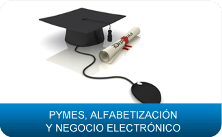 Pymes, Alfabetizaci�n y Negocio Electr�nico
