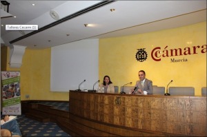 Talleres CECARM