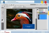 Curso Photoshop