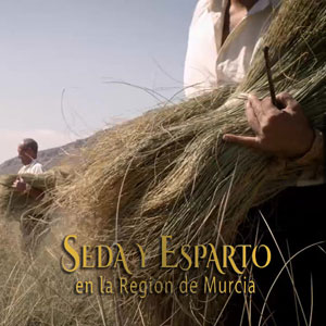 Seda y Esparto