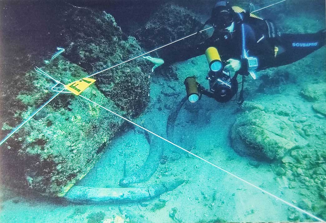 Imagen del documental